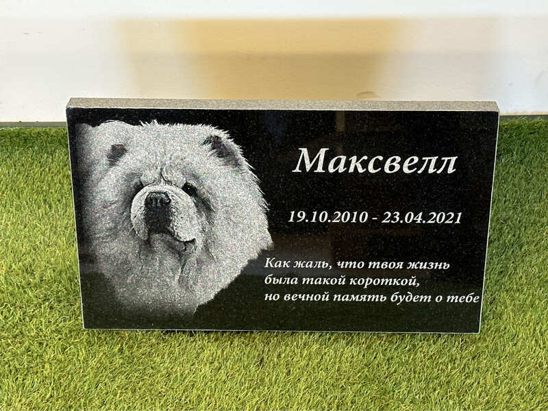 Hauakivi Lemmikloomale